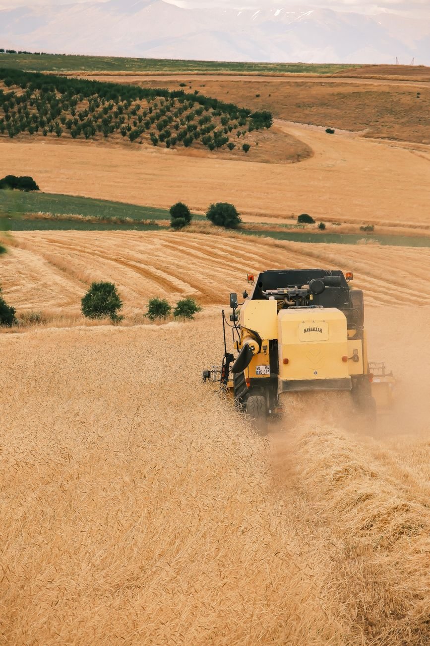 How Premium Rice Is Processed at a Modern Mill